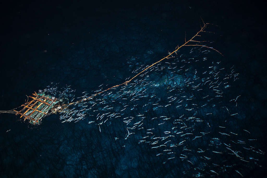 Aerial view of a FAD (fish aggregating device) at night in the Indian Ocean. © Will Rose / Greenpeace